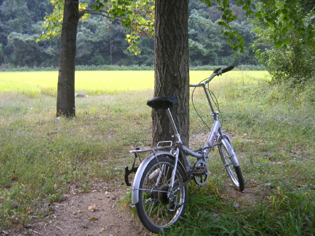 마을 숲에 자전거를 세우고 산을 오르다